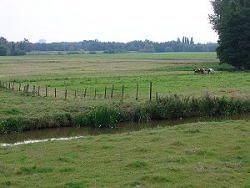 1a Vanaf Bergse Linker Rottekade (zuidzijde Rotte) / Kijkrichting zuid / Ommoord (Varenhof, Rozenbuurt) ligt links van de foto, Terbregge rechts 1a Vanaf Bergse Linker Rottekade (zuidzijde Rotte) / Kijkrichting zuid / Ommoord (Varenhof, Rozenbuurt) ligt links van de foto, Terbregge rechts