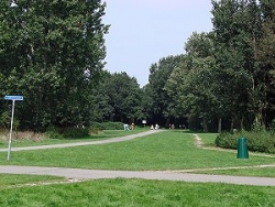 6a Lage Bergsche Bos 6a Lage Bergsche Bos