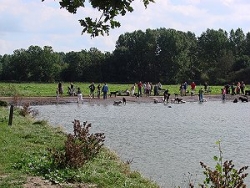 7a Lage Bergsche Bos / Hondenstrand 7a Lage Bergsche Bos / Hondenstrand