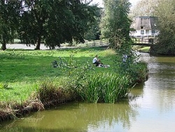 8a Lage Bergsche Bos 8a Lage Bergsche Bos